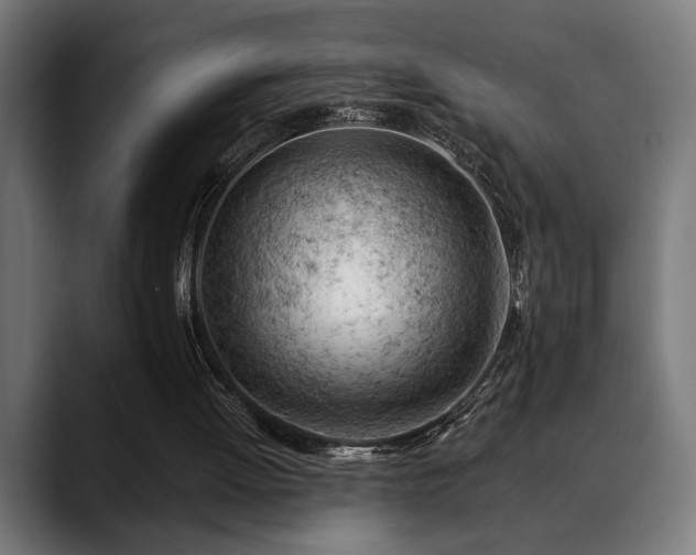 X0000088650052200705251510