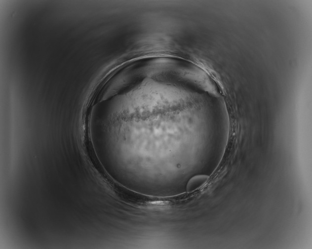 X0000088650053200705251510