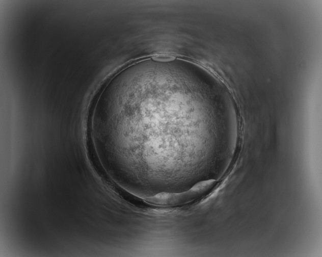 X0000088650055200705251510