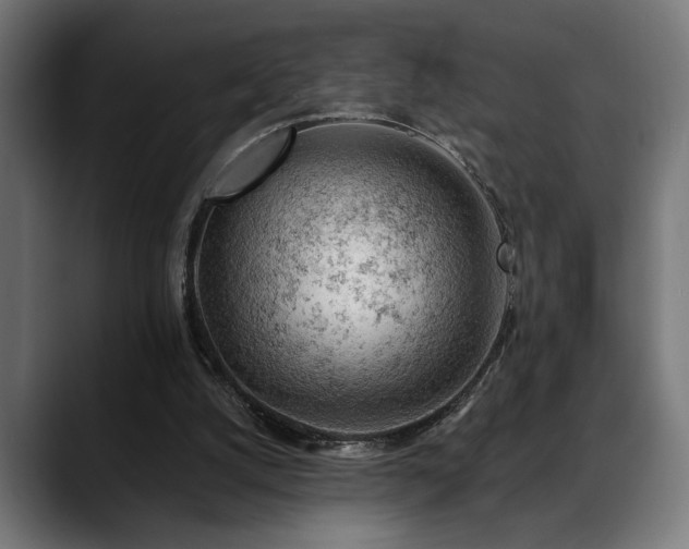 X0000088650056200705251510