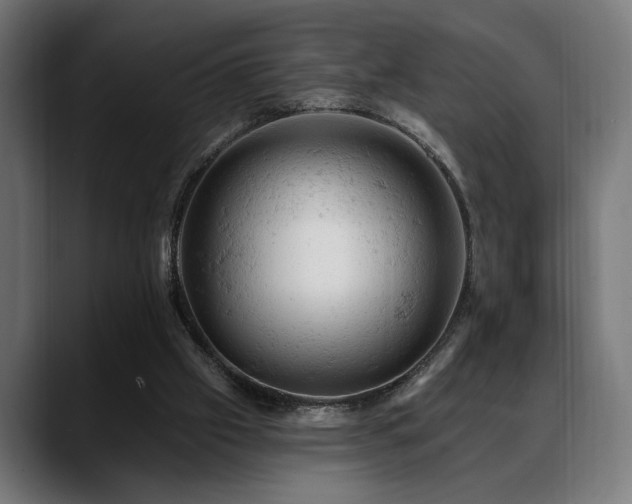 X0000088650057200705251510
