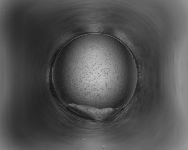 X0000088650058200705251510