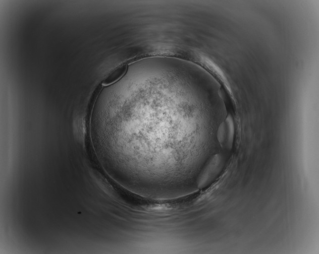 X0000088650059200705251510