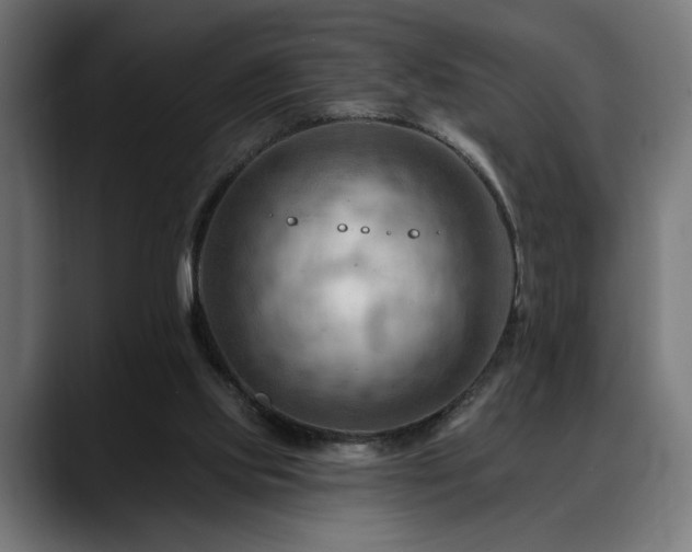 X0000088650061200705251510