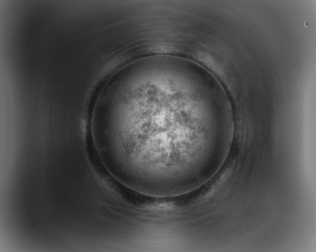 X0000088650063200705251510