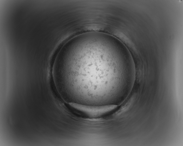 X0000088650064200705251510