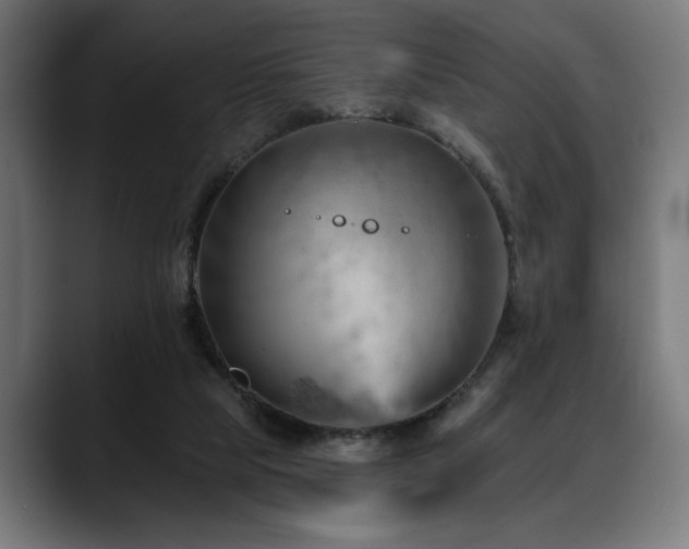 X0000088650065200705251510