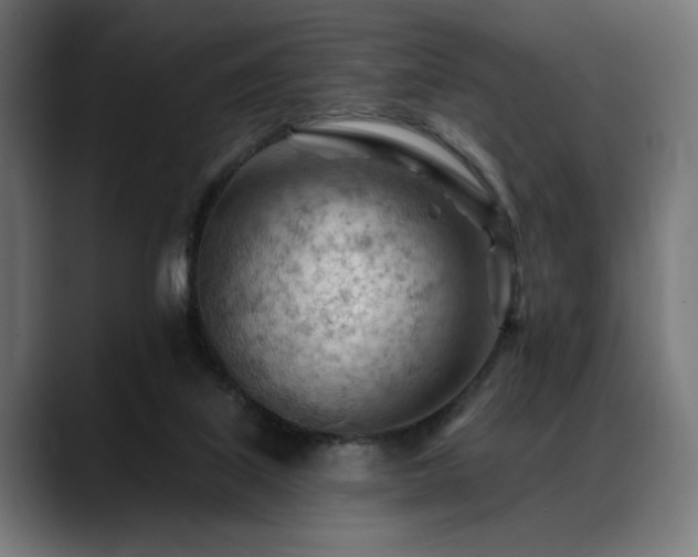 X0000088650067200705251510