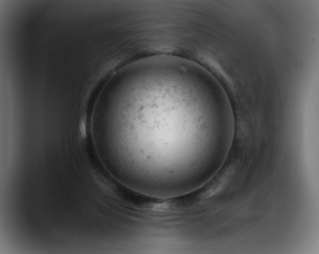 X0000088650068200705251510