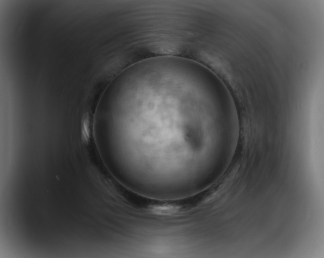 X0000088650069200705251510