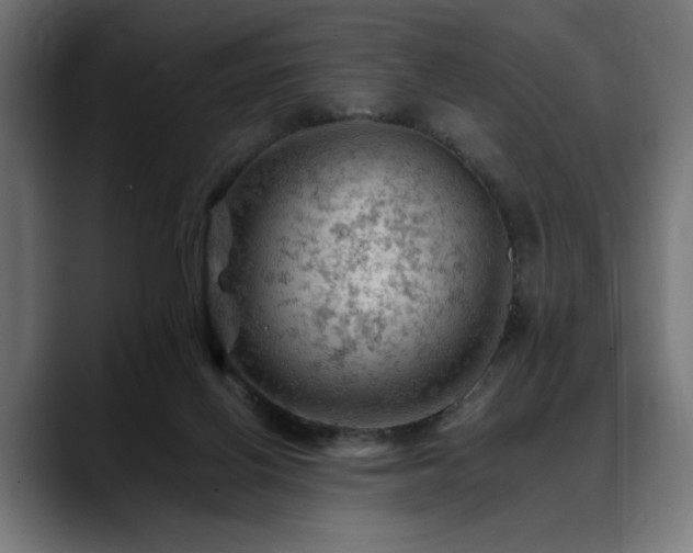 X0000088650070200705251510