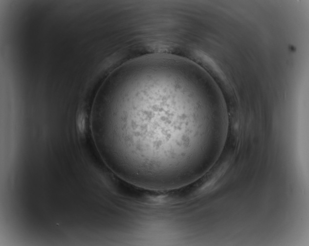 X0000088650071200705251510