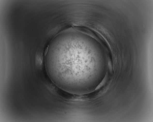 X0000088650072200705251510