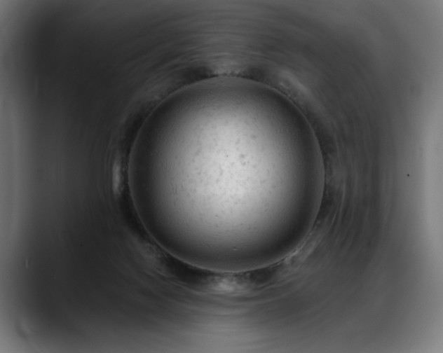 X0000088650074200705251510