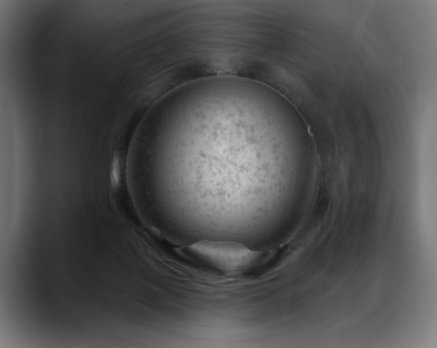 X0000088650075200705251510