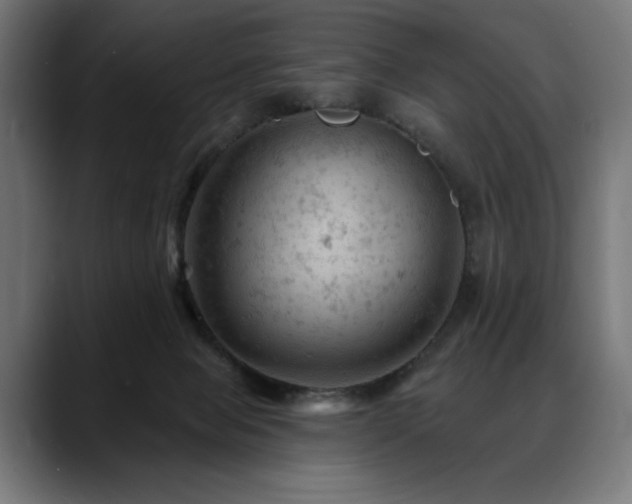 X0000088650077200705251510