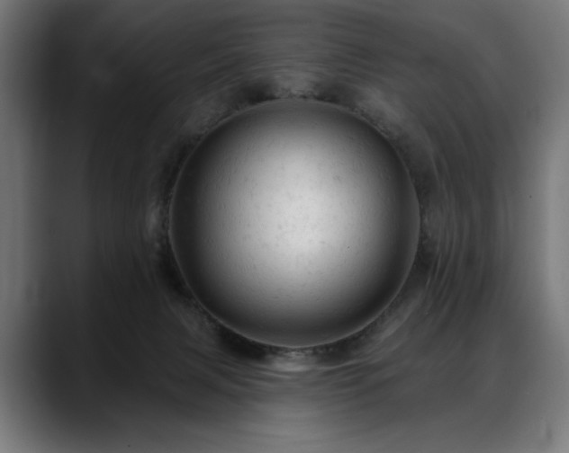 X0000088650079200705251510