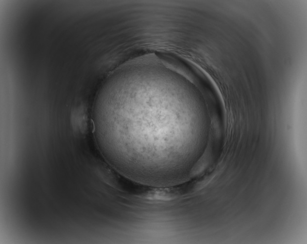 X0000088650080200705251510