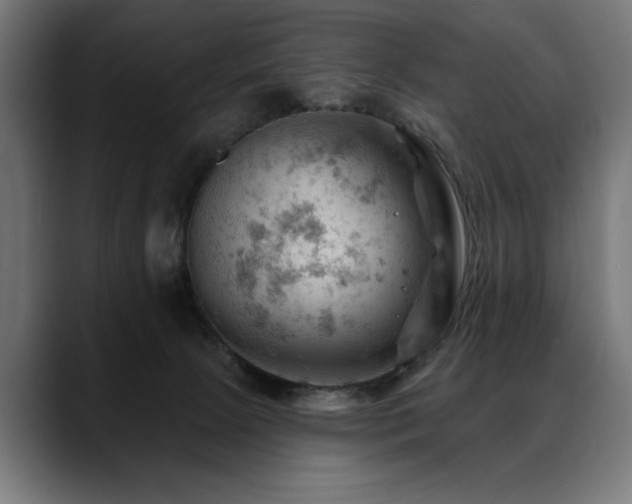 X0000088650081200705251510