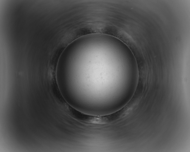 X0000088650083200705251510