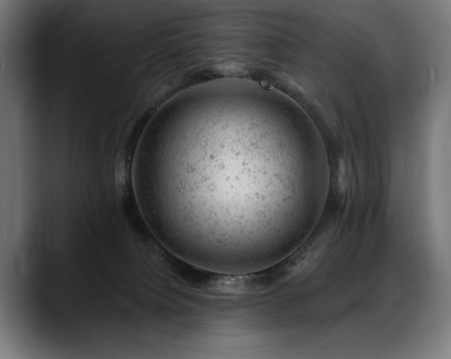X0000088650084200705251510