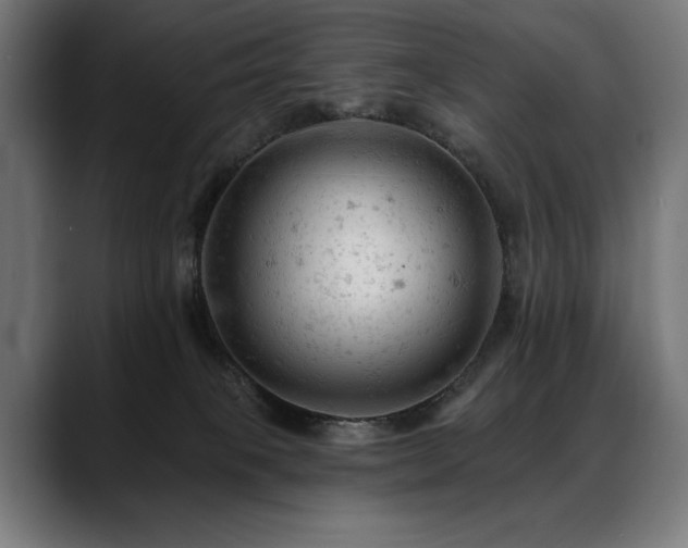 X0000088650085200705251510