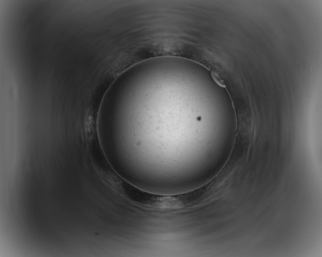 X0000088650087200705251511