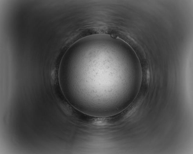 X0000088650088200705251511
