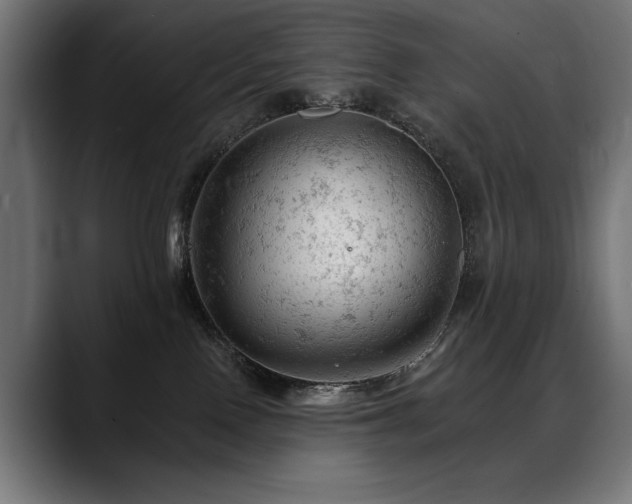 X0000088650090200705251511