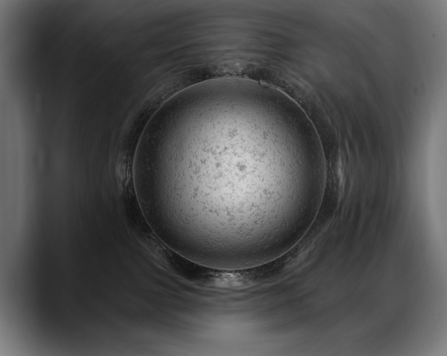 X0000088650091200705251511
