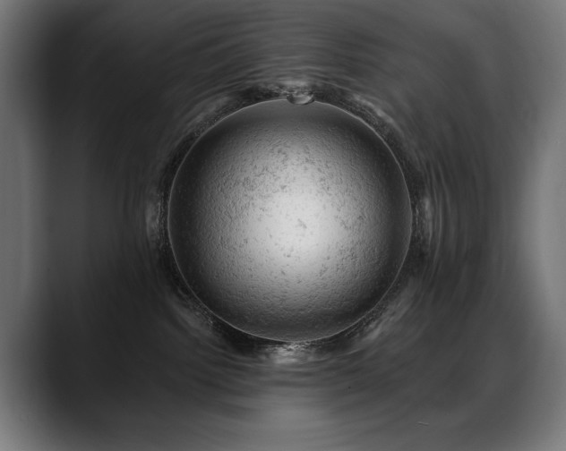 X0000088650092200705251511