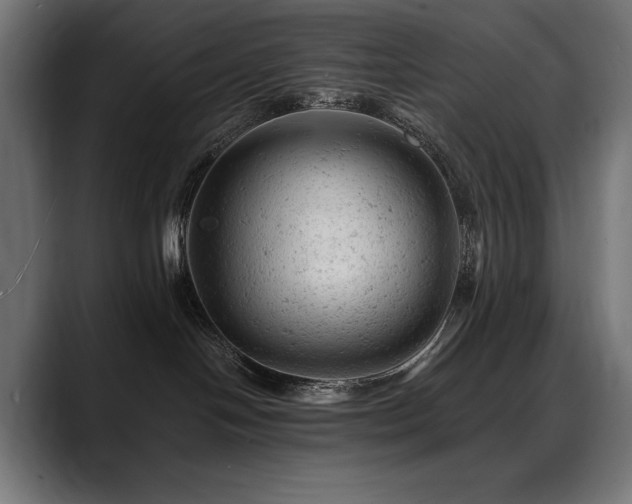 X0000088650094200705251511