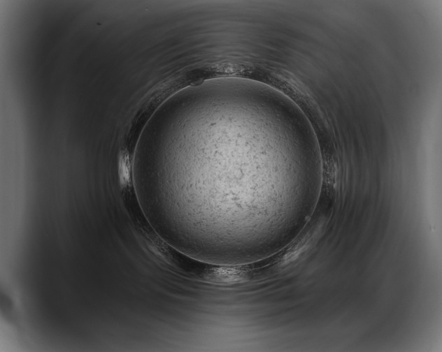 X0000088650095200705251511