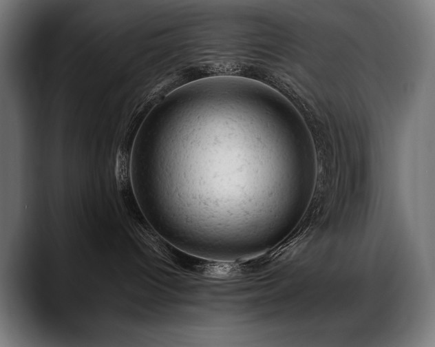 X0000088650096200705251511