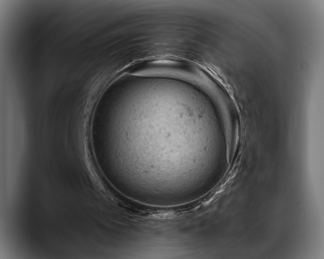X0000088650097200705251510