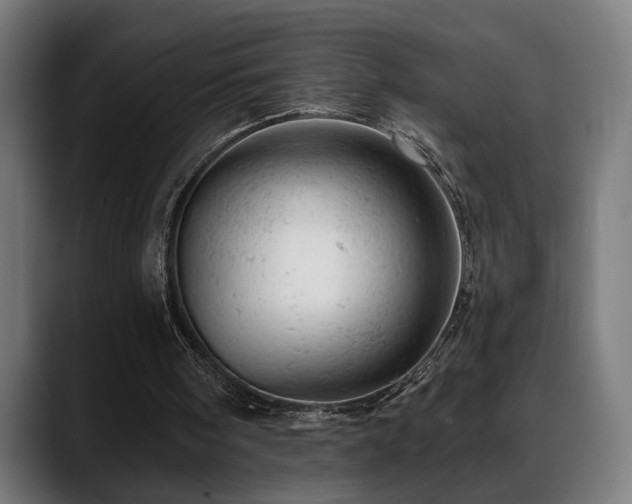 X0000088650098200705251510