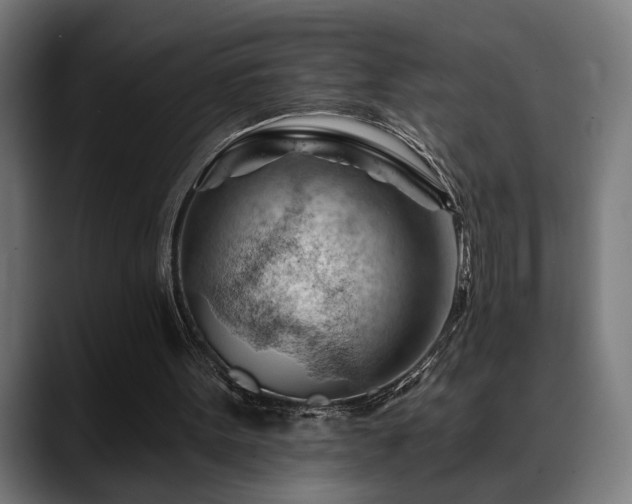 X0000088650099200705251510