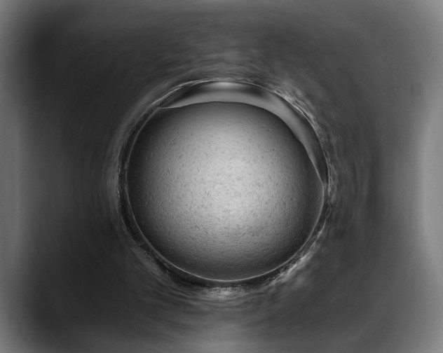 X0000088650101200705251510