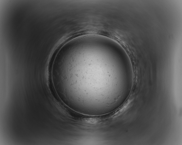 X0000088650102200705251510