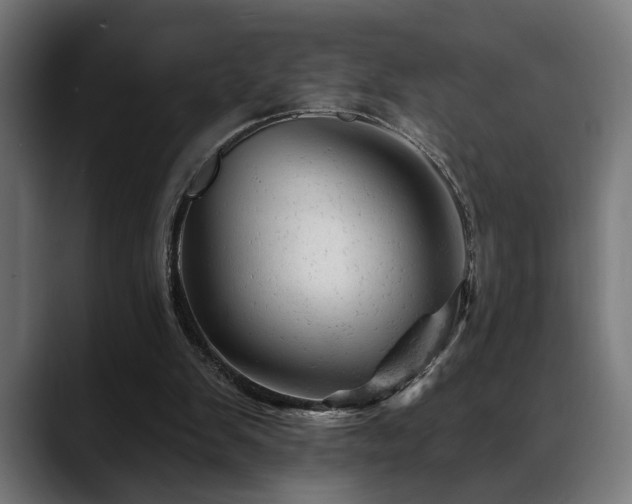 X0000088650103200705251510