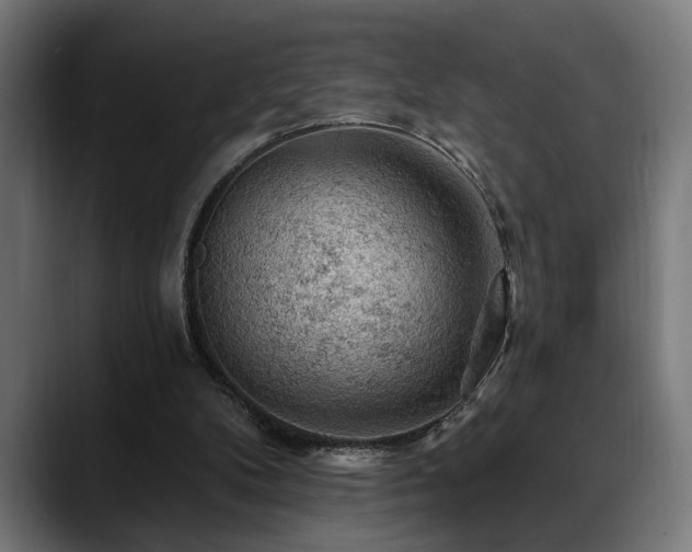 X0000088650104200705251510