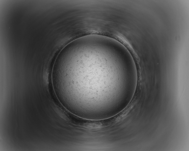 X0000088650106200705251510