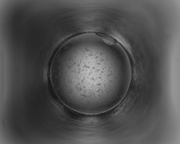 X0000088650107200705251510