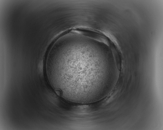 X0000088650108200705251510