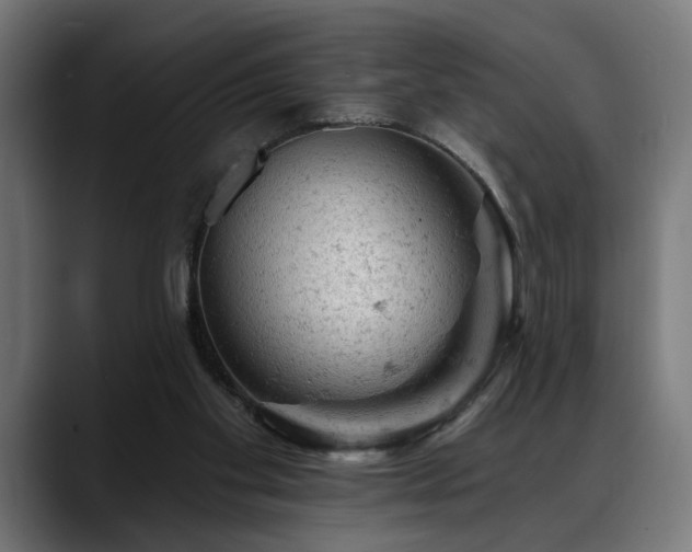 X0000088650109200705251510