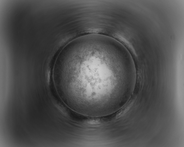 X0000088650110200705251510
