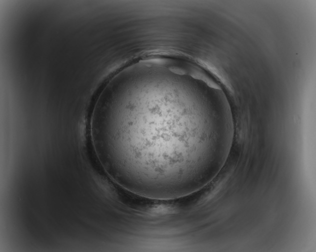 X0000088650111200705251510