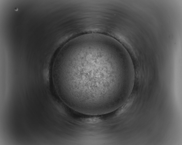 X0000088650112200705251510
