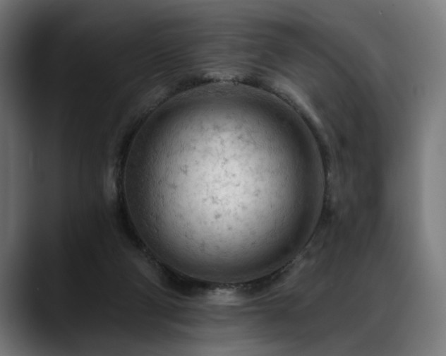 X0000088650114200705251510