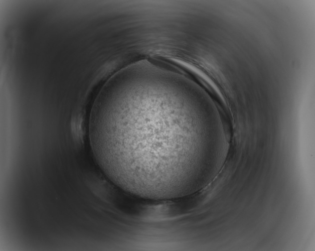 X0000088650116200705251510